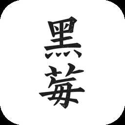 黑莓小说手机版