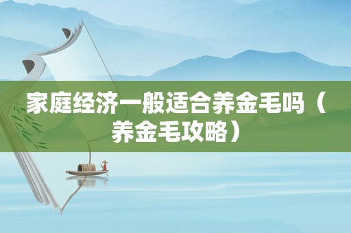 家庭经济一般适合养金毛吗（养金毛攻略）