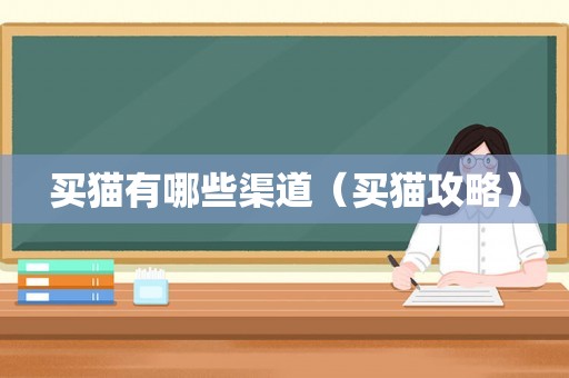 买猫有哪些渠道（买猫攻略）