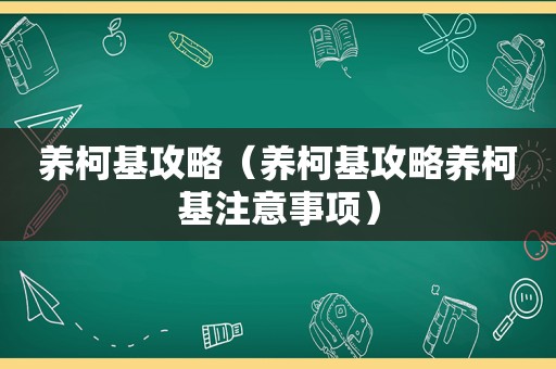 养柯基攻略（养柯基攻略养柯基注意事项）
